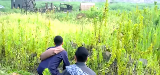 王文渊马云飞联手伏击日军救出被掳女子 | 资讯配图