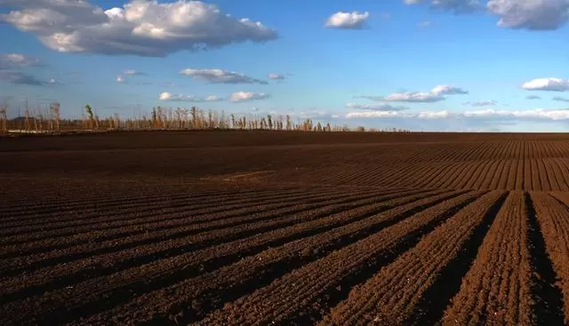 范伟史鹏源主演微电影《老范的心事》上线，取景齐齐哈尔北纬47°黑土地 | 现场图