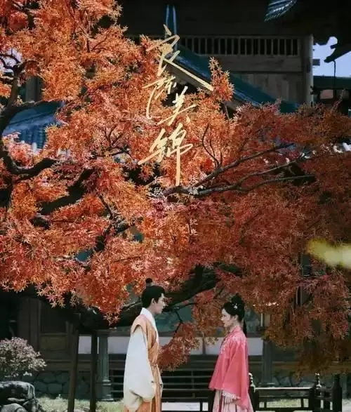 《良陈美锦》定档5月3日，任敏此沙三搭引爆古装剧期待，宅斗权谋双线并进 | 资讯配图