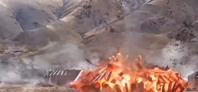 电影《鹰啸苍穹》曝女性角色逆转战局关键情节 | 情报图